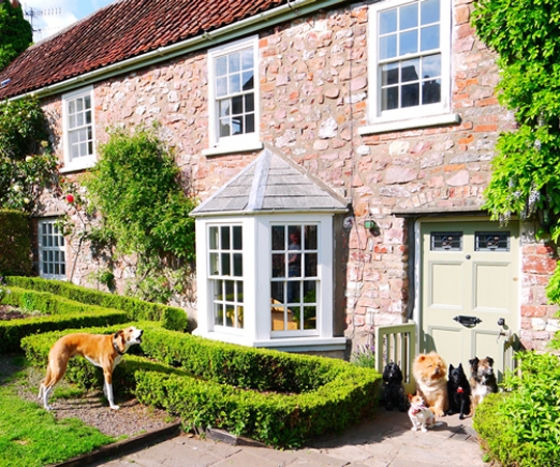 paw-seasons-dog-hotel-1