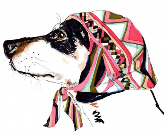 paw-seasons-dog-hotel-5