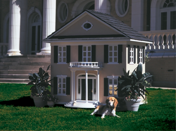 paw-seasons-dog-hotel-2