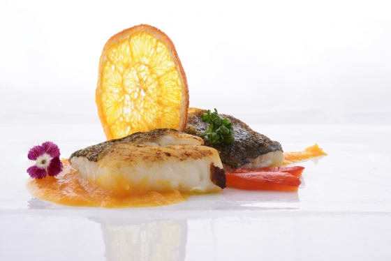 Food III