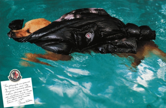moncler-new-campaign