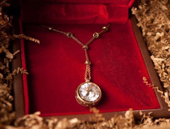 fs-damiani