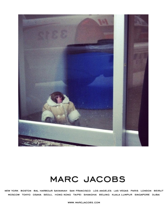 ikea-monkey-tumblr