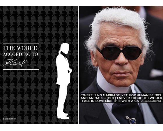 karl-lagerfeld-book-the-world-according-to-karl