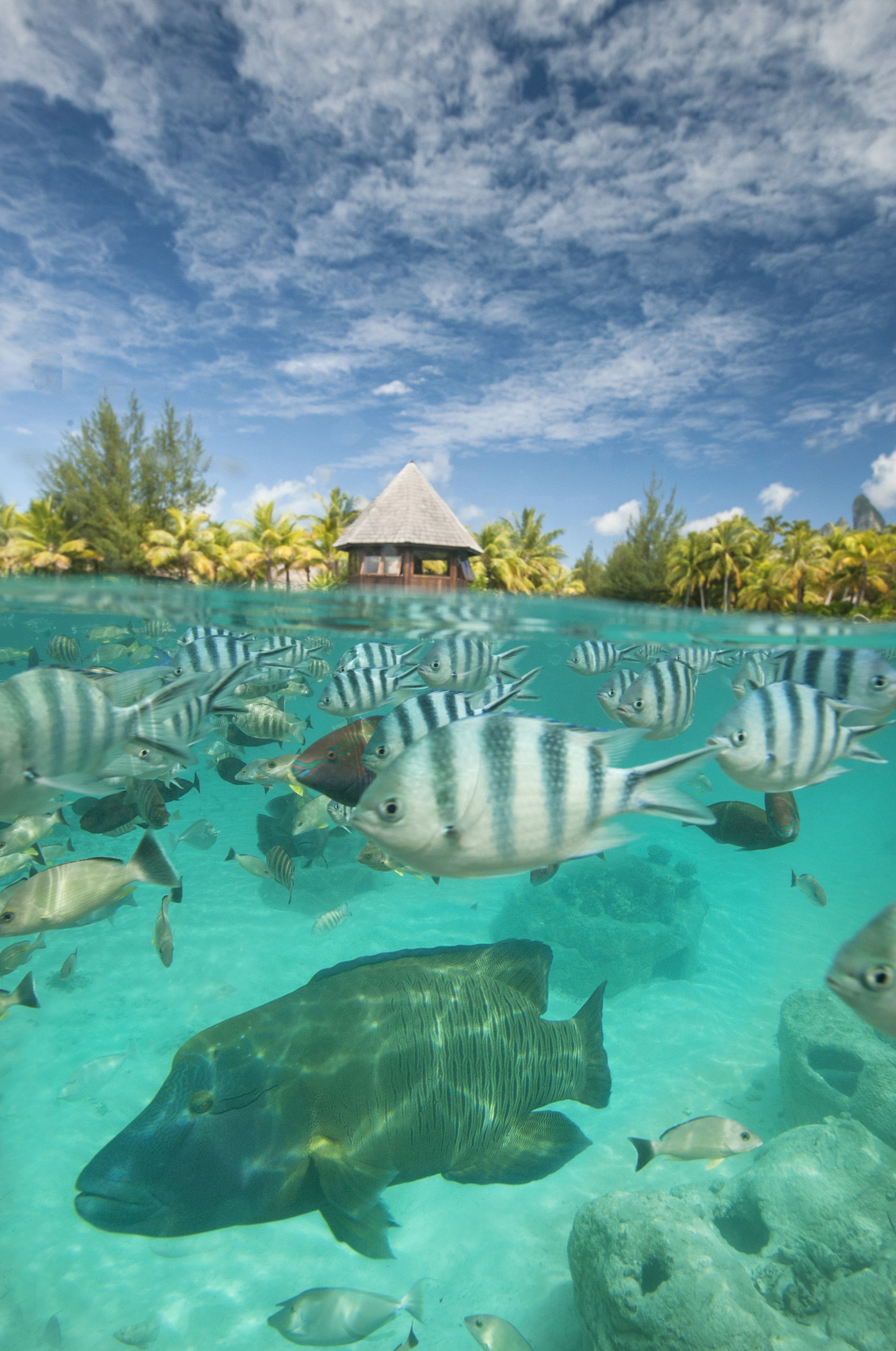 THE St REGIS BORA BORA RESORT