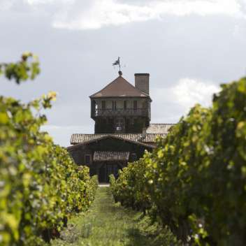 5 интересных фактов о вине и виноделии напрямую из Франции