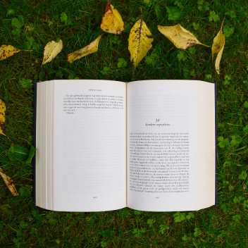 5 книг, которые скрасят неприветливую осень