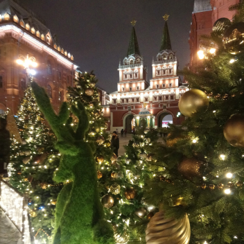Когда салаты съедены: чем заняться в новогодние каникулы в Москве
