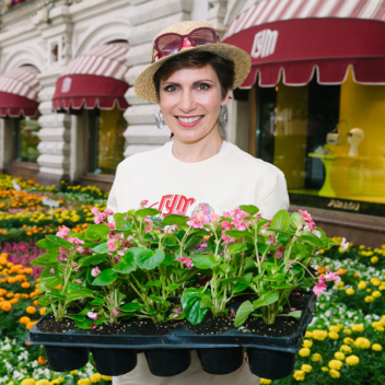 В Москве стартовал традиционный фестиваль цветов