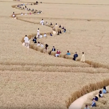 Показ коллекции Jacquemus Spring/Summer 2021 прошел во французских пшеничных полях. Фото и Видео