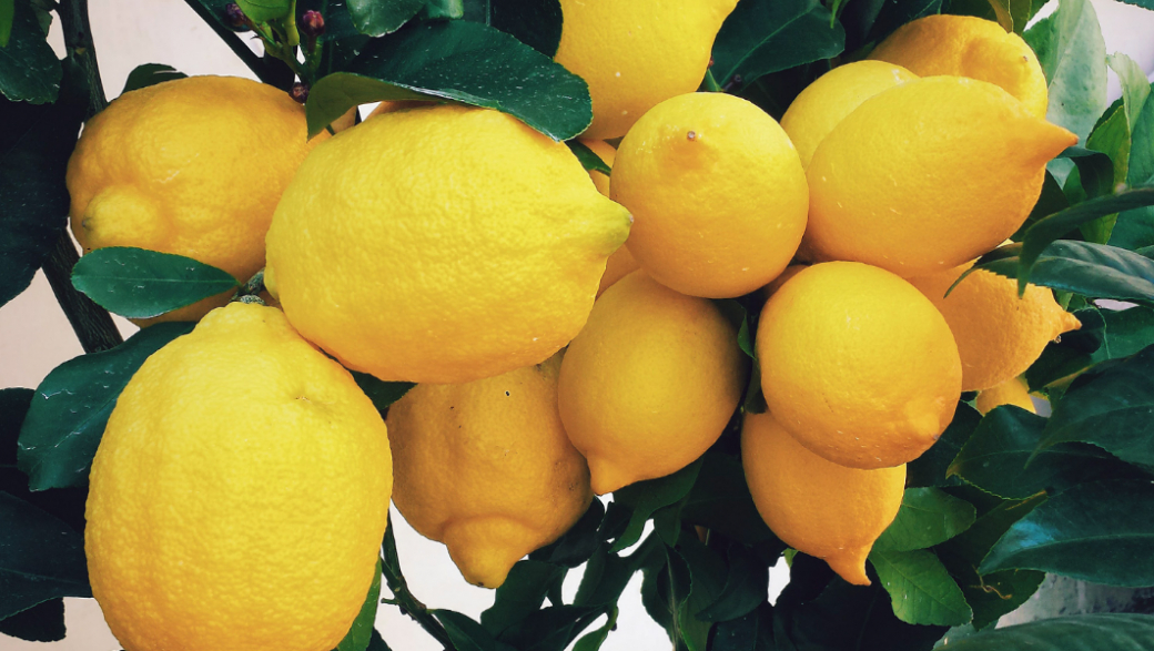 10 причин, почему стоит лимон включить в свой рацион