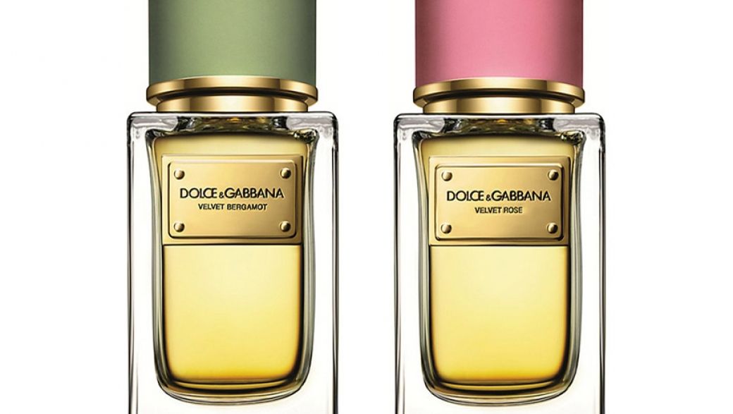 Марка Dolce & Gabbana пополнила «вельветовую» серию ароматов