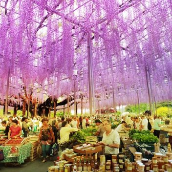 Зелень Голландии: Проект Almere Floriade