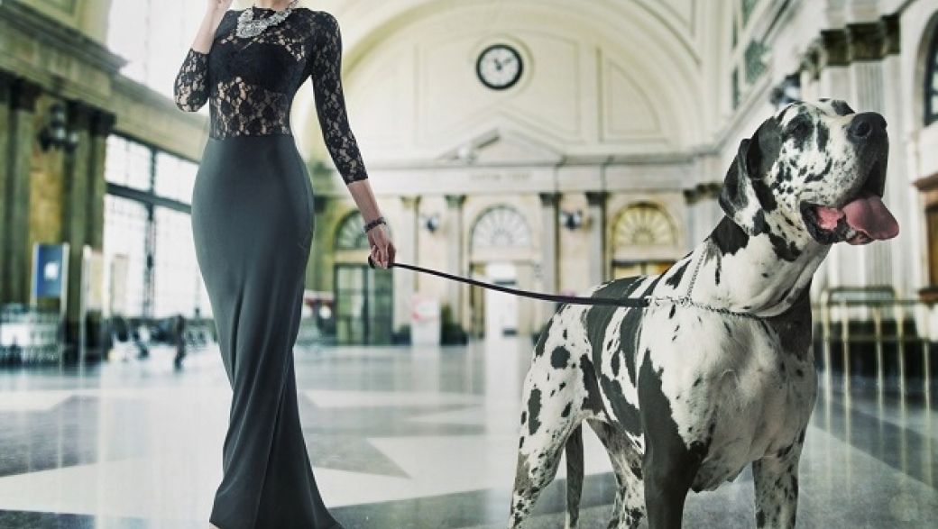 В чем встречать год Собаки: модная астрология от Виктории Смоляницкой