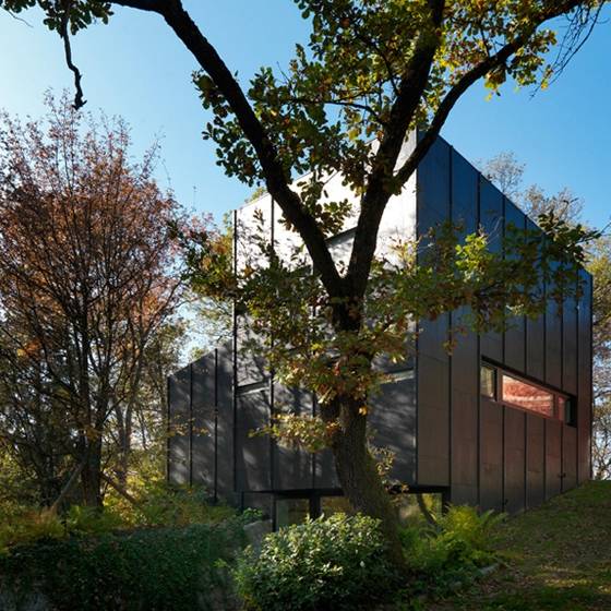 В темно-синем лесу: Гостевой дом Enrico Iascone Architects
