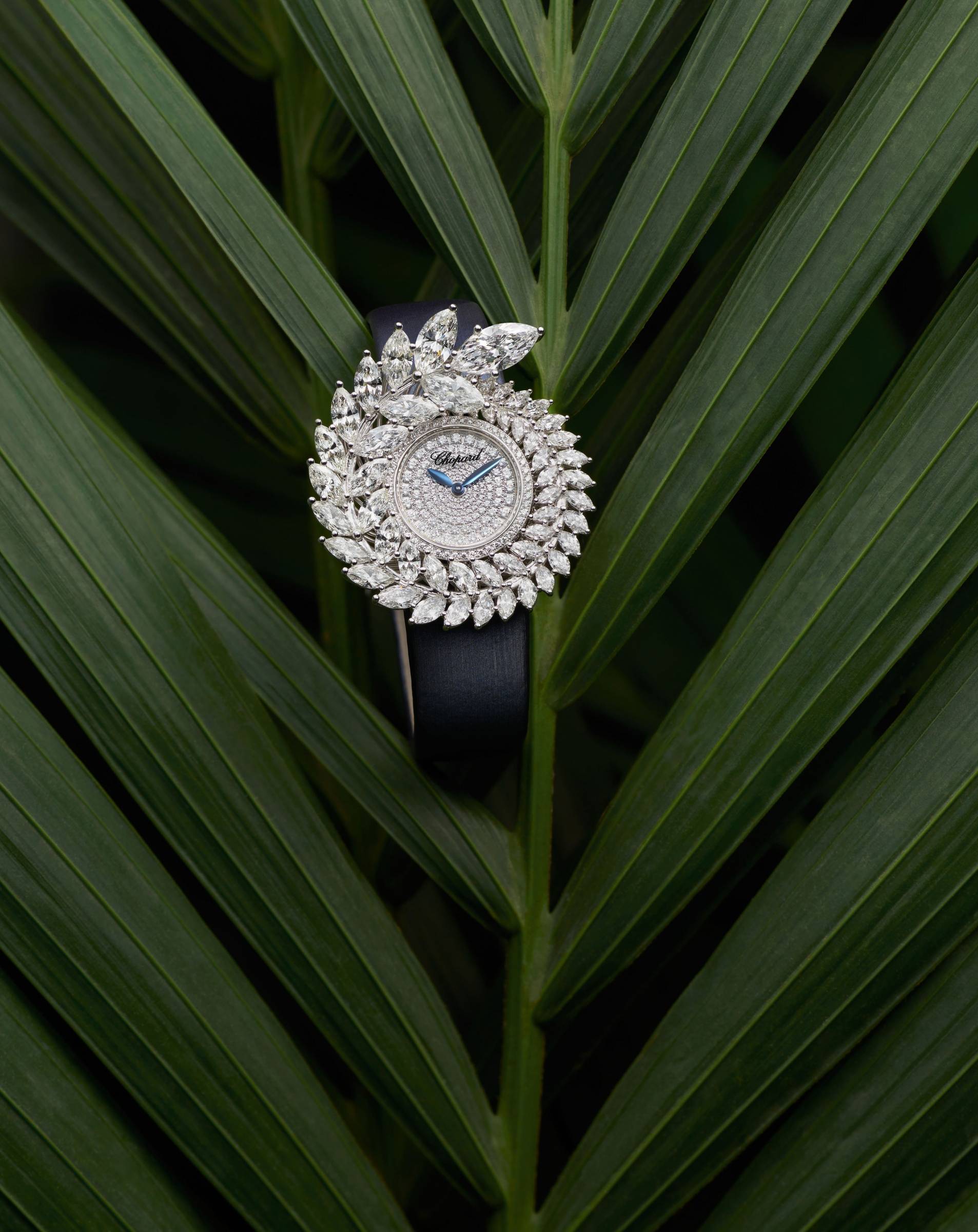 Chopard. Вдохновленные пальмами