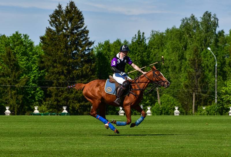 Triumph Polo Cup в Подмосковном Целеево