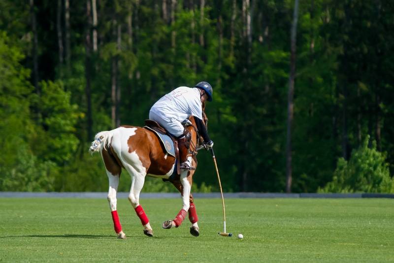 Triumph Polo Cup в Подмосковном Целеево