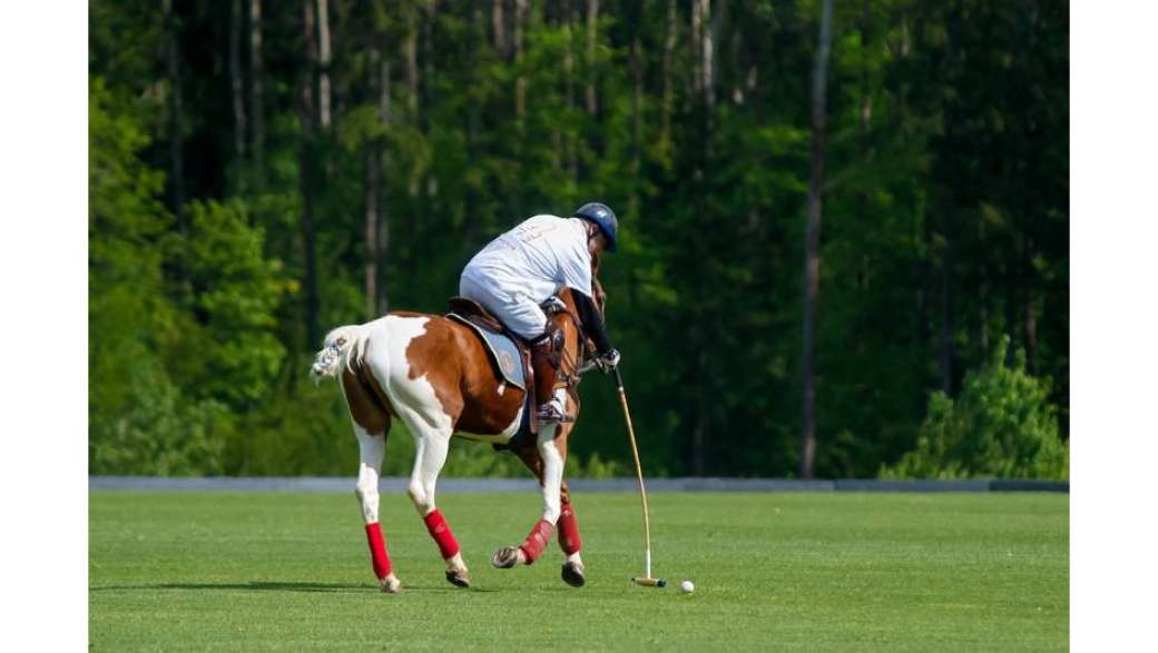 Triumph Polo Cup в Подмосковном Целеево