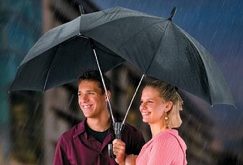 20 самых модных зонтов для дождливых дней